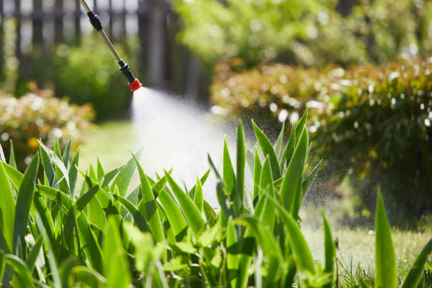 24/7 Emergency Wasp Removal experts in Old Jefferson, LA