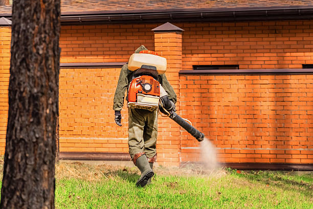 Top rated local Wasp Removal specialists in Old Jefferson, LA